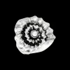 Bague - Bright Shell