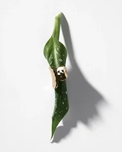 Bague - Hammered Asymmetry