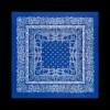 Bandana - Midnight Paisley