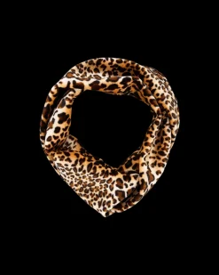 Bandeau - Velvet Savannah