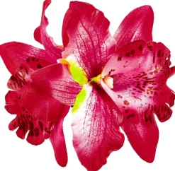 Barrette - Tropical Flower