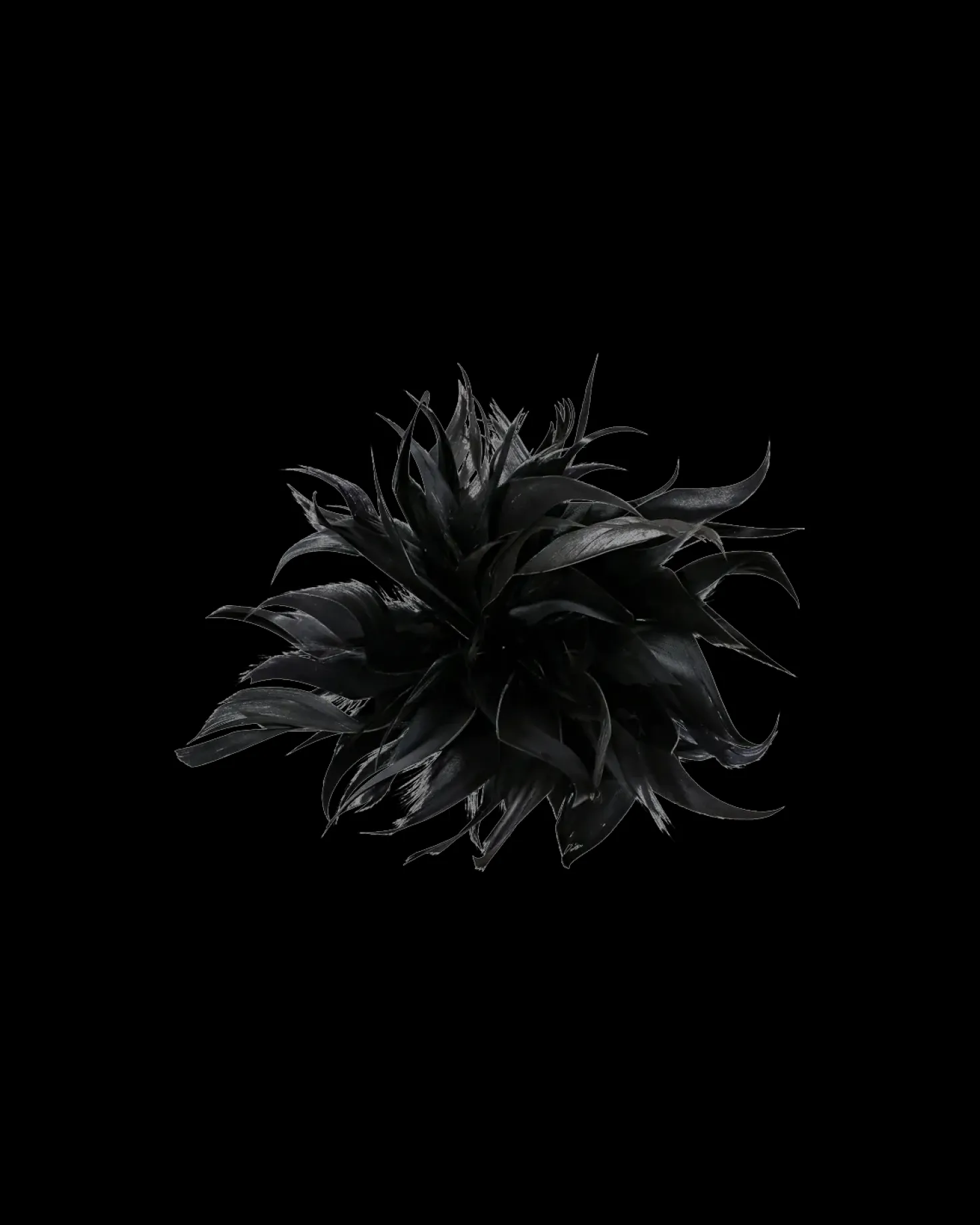 Barrette - Wonderful Darkness