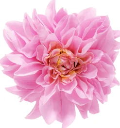 Barrette - Wonderful Flower