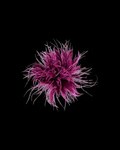 Barrette - Wonderful Purple