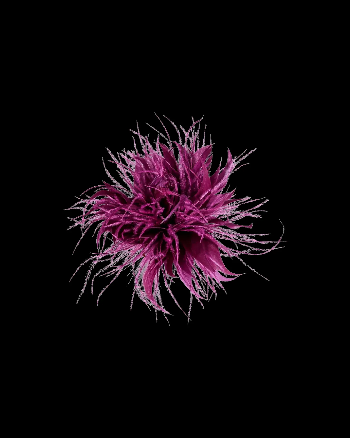 Barrette - Wonderful Purple