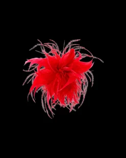 Barrette - Wonderful Red