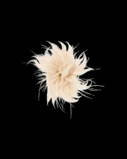 Barrette - Wonderful Rose