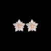 Boucles d'oreilles - Little Rosé Star