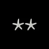 Boucles d'oreilles - Starfish