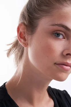 Boucles d'oreilles - Winning Leaf
