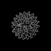 Broche - Dark Bloom