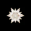 Broche - Glamorous Moments