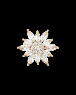 Broche - Glamorous Moments