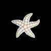 Broche - Metal Star