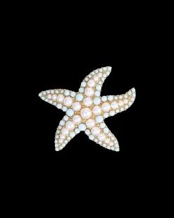Broche - Metal Star