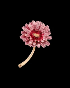 Broche - Rose Harmony
