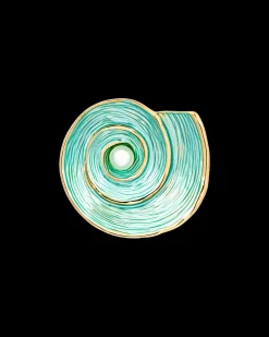 Broche - Turquoise Shell