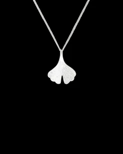 Chaîne - Ginkgo