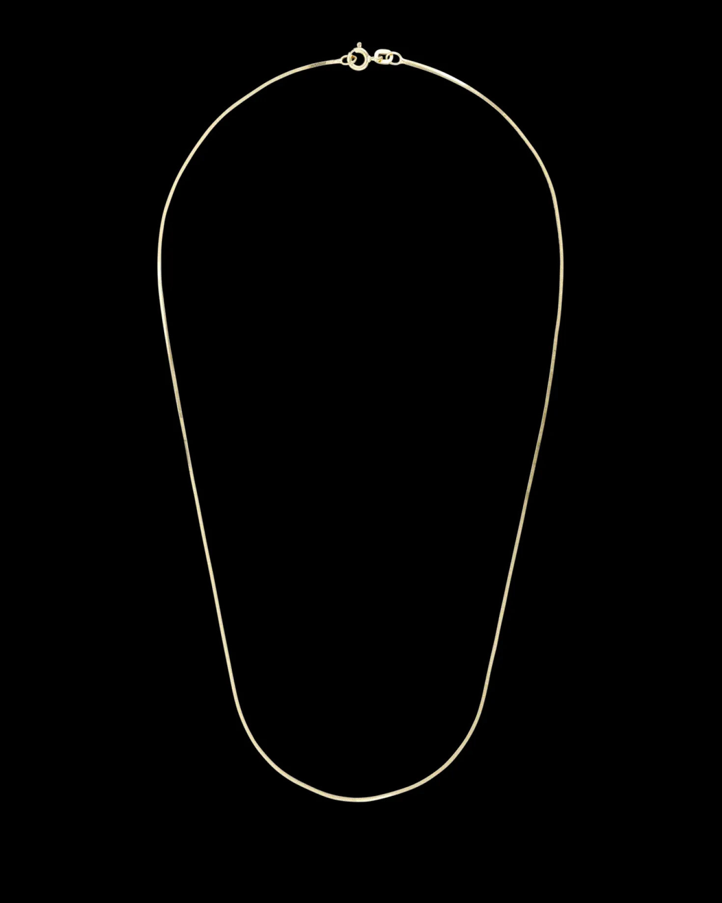 Chaîne - Gold Snake