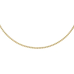 Chaîne - Simple Gold
