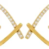 Clous d'oreilles - Extraordinary Hearts