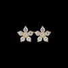 Clous d'oreilles - Floral Gleam