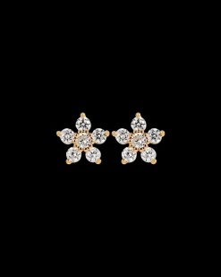 Clous d'oreilles - Floral Gleam