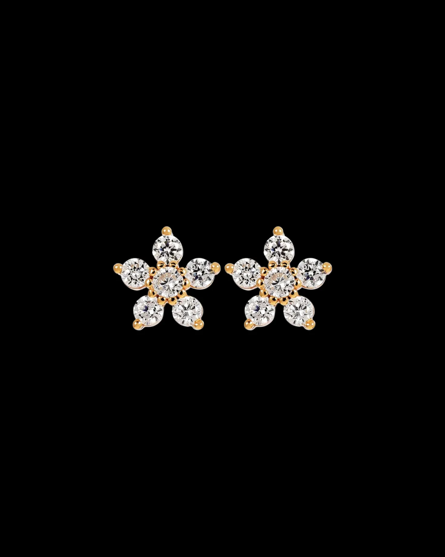 Clous d'oreilles - Floral Gleam