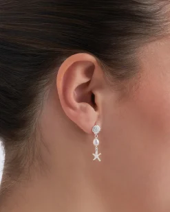 Clous d'oreilles - Freshwater Shells