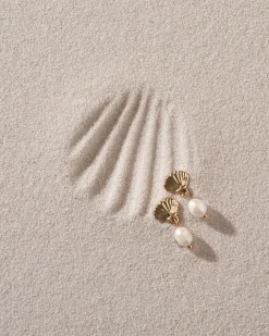 Clous d'oreilles - Glossy Shell