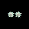 Clous d'oreilles - Iced Flower