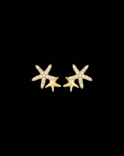 Clous d'oreilles - Ocean Star