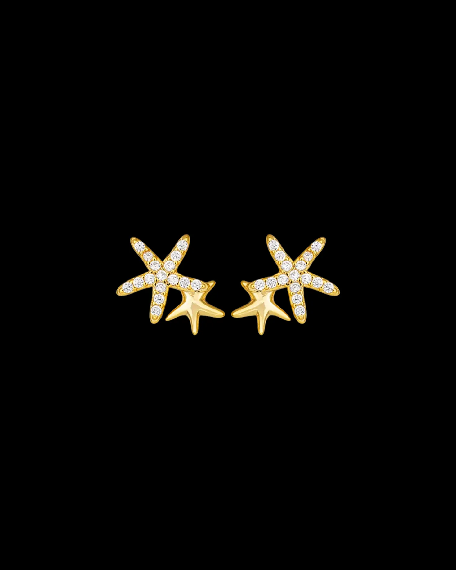 Clous d'oreilles - Ocean Star