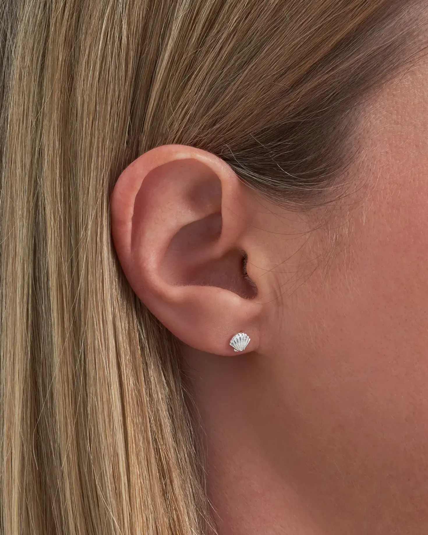 Clous d'oreilles - Silver Shell
