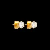 Clous d'oreilles - Steel Sparkle