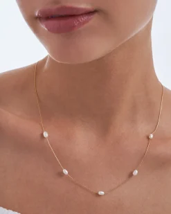 Collier - Beach Basic