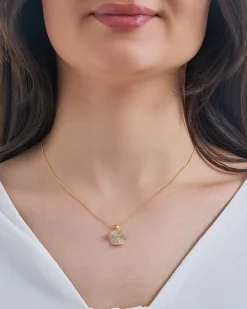Collier - Elegant Plate