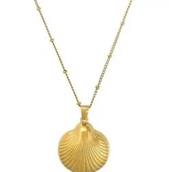 Collier - Elegant Shell