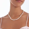 Collier - Real Shells