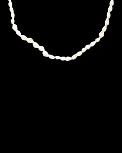 Collier - Real Shells
