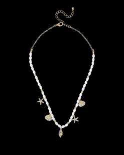 Collier - Shell Pendants