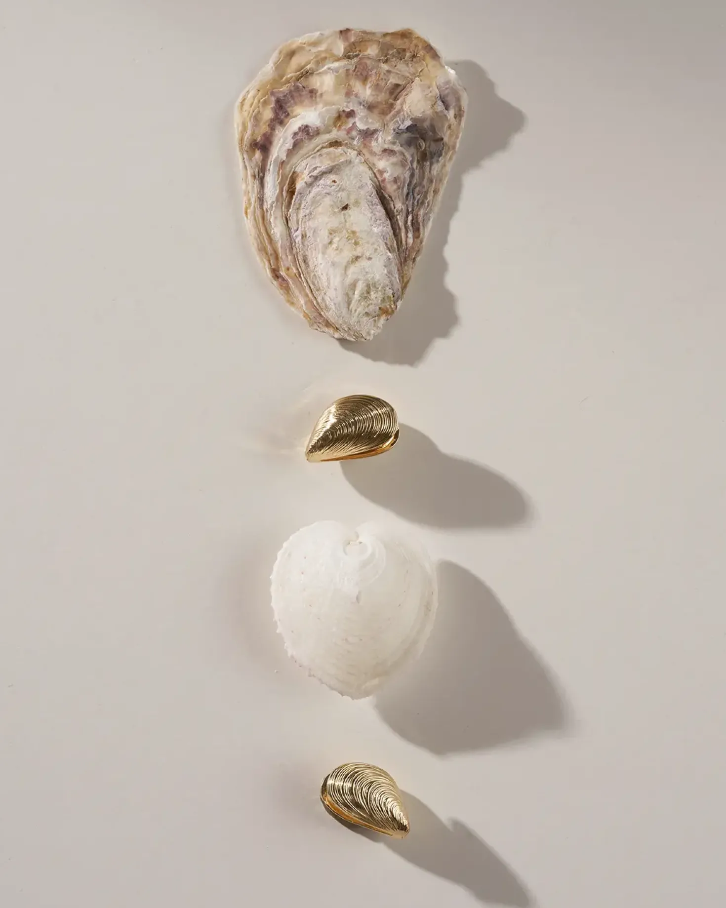 Créoles - Golden Shells