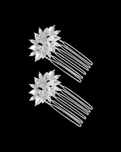 Ensemble de peignes - Perfect Shine