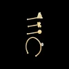 Ensemble de piercings - Golden Gleam