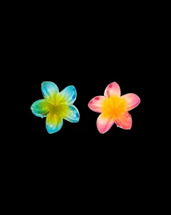 Ensemble de pinces à cheveux - Aloha Summer