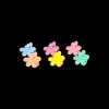 Ensemble de pinces - Colorful Flowers