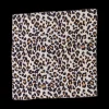 Foulard - Little Leo