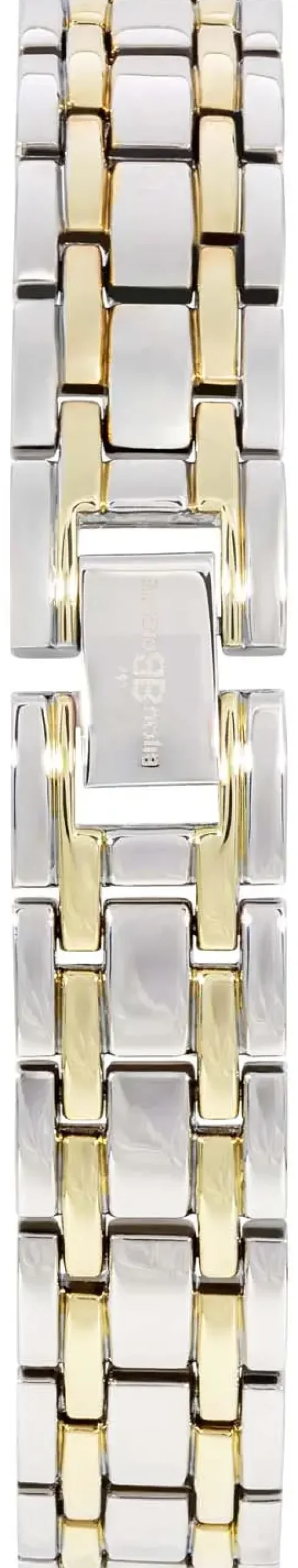 Montre - Bicolor Shine