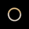 Piercing - Gleaming Circle