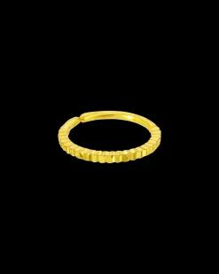 Piercing - Golden Circle